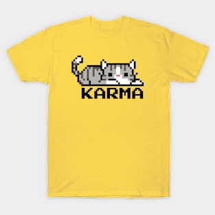 Karma - Gray Striped Cat T-Shirt